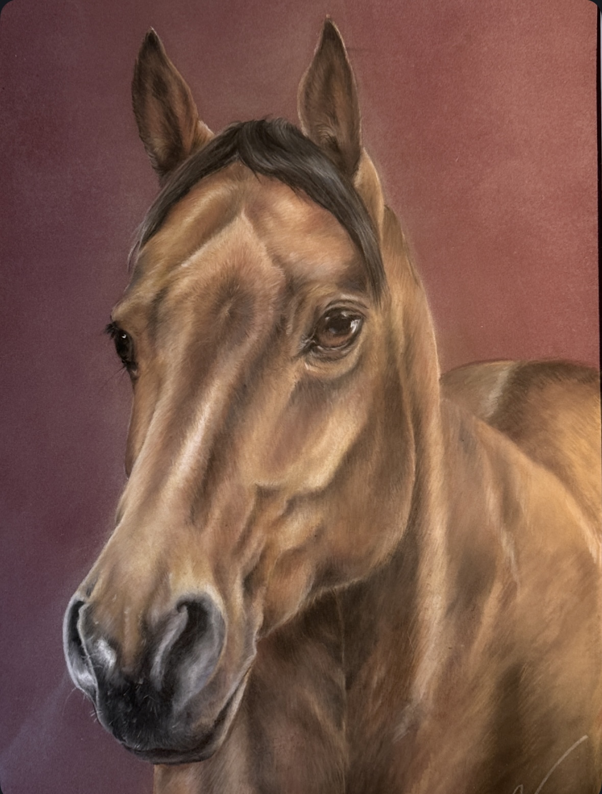 “Josie” Pastellporträt