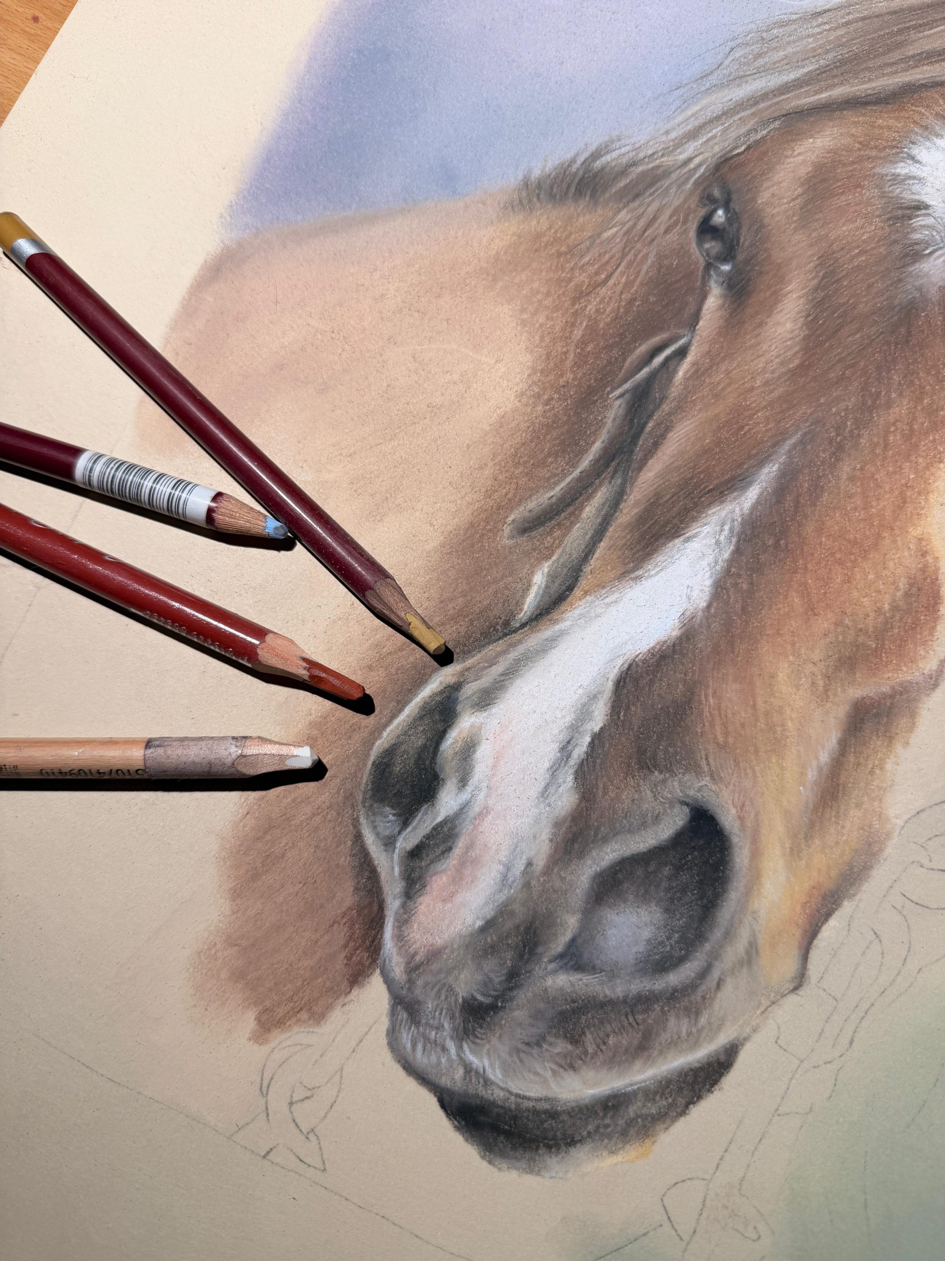Im Atelier — Pferdestudie